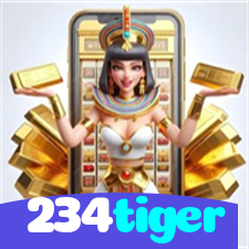 234tiger：O futebol nunca foi tão divertido! Aposte nas melhores partidas e vença!
